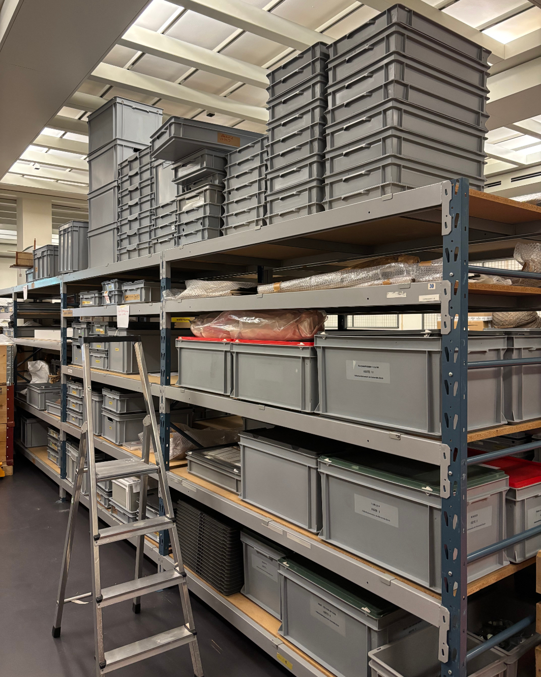 Ein Blick ins Museumsdepot: Viele Rakokisten in einem hohen Gestell und eine Leiter.